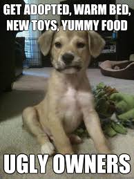Dissatisfied Puppy memes | quickmeme via Relatably.com