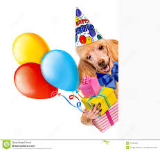 Resultado de imagem para imagens de aniversário+cães