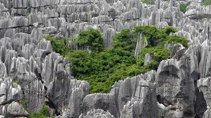 Image result for kunming stone forest