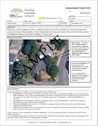 How to Get a Good Competitive Bid from a Tree Service - Tree Resource via Relatably.com