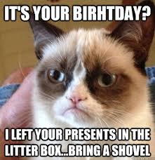 Memes Vault Funny Cat Meme Birthday via Relatably.com