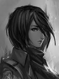 Je suis Mikasa ^^