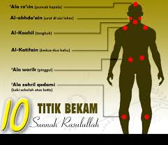 Image result for BEKAM TARIKH SUNNAH