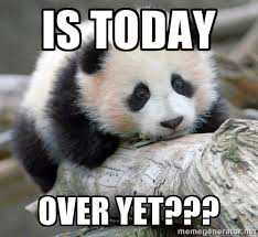 is today over yet??? - sad panda | Meme Generator via Relatably.com