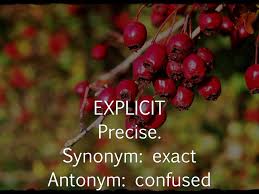 Image result for precise synonym
