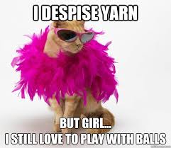 Sassy Gay Cat memes | quickmeme via Relatably.com