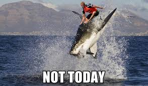 The best Mick Fanning shark attack memes to bless the internet via Relatably.com