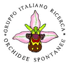 G.I.R.O.S. - Gruppo Italiano per la Ricerca sulle Orchidee Spontanee