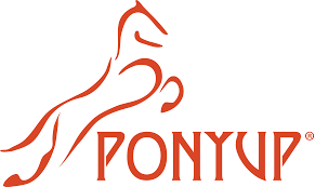 Image result for pony up