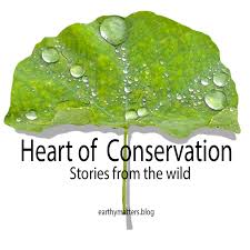 Heart of Conservation