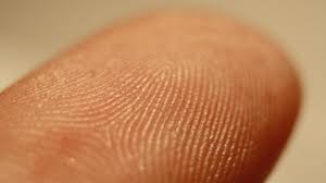 Resultado de imagen para que es lo que hace que la huella dactilar de una persona deje marcado la huella
