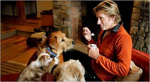 Image result for denis leary 