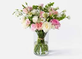 Brighten Your Space with Fresh Roses, Unbeatable Daily Offers!