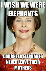 I wish we were elephants Daughter elephants never leave their ... via Relatably.com