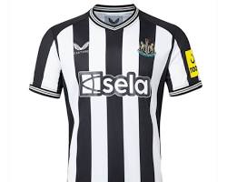 Image of Newcastle United 202324 home jersey