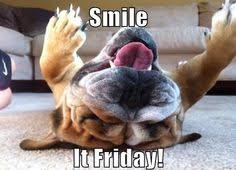 Happy Friday Dogs! on Pinterest | Happy Friday, Happy Dogs and The ... via Relatably.com