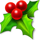 Image result for holly icon