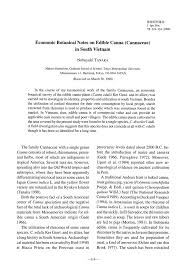 (PDF) Economic botanical notes on edible Canna (Cannaceae) in ...