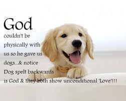 26 Dog Quotes About Love And Compassion - SpartaDog Blog via Relatably.com