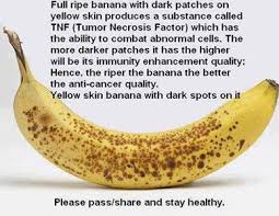 Bananas: Good for You Anyway? – My great WordPress blog via Relatably.com