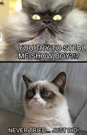 17 Most Funny Grumpy Cat Memes of All Time - Page 2 of 6 - Tons Of ... via Relatably.com