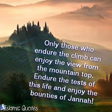 ISLAMIC QUOTES • Only those who endure the climb can enjoy the view... via Relatably.com