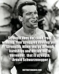 arnie greats on Pinterest | Arnold Schwarzenegger, Conan The ... via Relatably.com