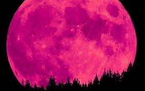Resultado de imagen de luna rosa 2017