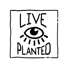 Live Planted- Practical Vegan Living