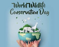 Image of World Wildlife Conservation Day