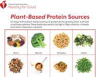 Proteins food