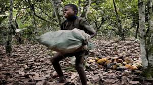 Image result wey dey for modern slavery pictures