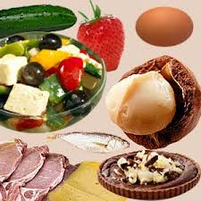 What to eat on a high protein low carb diet?