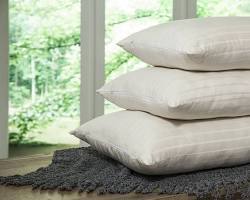 Image of PlushBeds Pillow