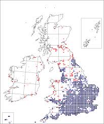 Pastinaca sativa | Online Atlas of the British and Irish Flora