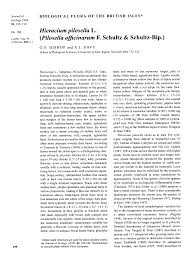 Hieracium Pilosella L. (Pilosella Officinarum F. Schultz & Schultz-Bip.)