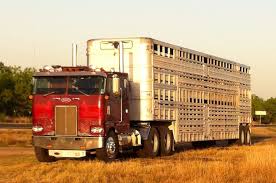 Image result for cabover hauling tractors