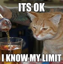 Its OK I know my limit - Drunk Cat - quickmeme via Relatably.com