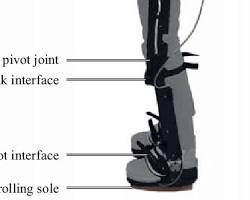 Image of Passive Exoskeleton