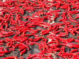 Image result for korean chili pepper image