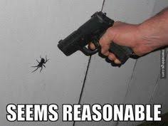 Spider Meme on Pinterest | Spider Quotes, Funny Spider and ... via Relatably.com