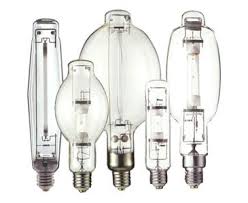Image result for HID bulbs