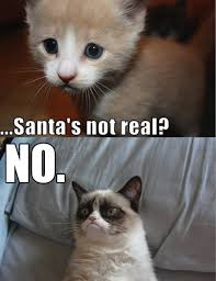 Grumpy Cat Memes No - grumpy cat memes no also grumpy cat meme no ... via Relatably.com