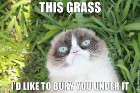 This grass...I&#39;d like to bury you under it. | The Illustrious Miss ... via Relatably.com