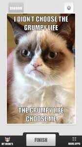 Memes Vault Angry Cat Good Memes via Relatably.com