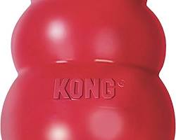 KONG Classic Dog Toy for large dogs