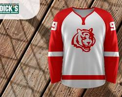 Image of Dick's Sporting Goods Sports Jerseys