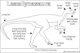 Image result for Leaellynasaura