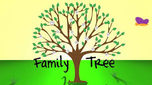 Image result for family tree