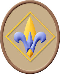Image result for webelos rank pic